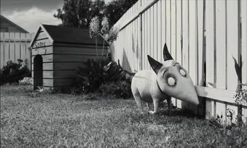 Frankenweenie Domácí mazlíček (2012) avi