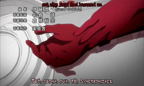 NEx-Mirai-Nikki-04 avi