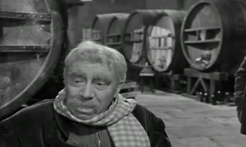 Beránek s pěti nohama (1954) avi