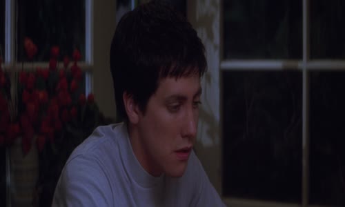 Donnie Darko-2001 eng+cz dab , sk+cz+eng ttl  mkv