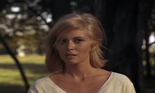 Bonnie a Clyde (1967) mkv