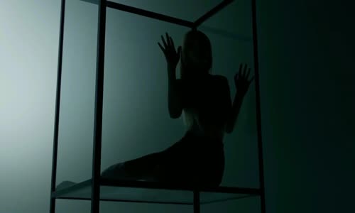 JUSTIN BIEBER FEAT HALSEY - I WANNA BE YOUR GIRL MV mp4
