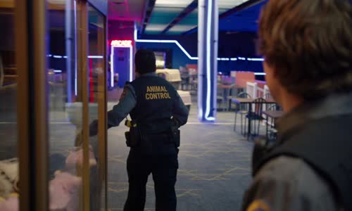 Animal Control S02E01 Raccoons and Mutts 1080p HULU WEB-DL DD 5 1 H 264-playWEB mkv