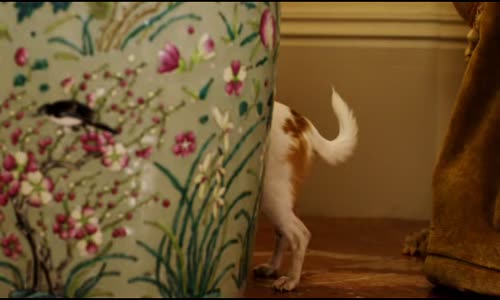 Čivava z Beverly Hills 2 (Marcus Coloma,Odette Annable,Bridgit Mendler-2011 Dobrodružný-Komedie-Rodinný) Cz dabing avi