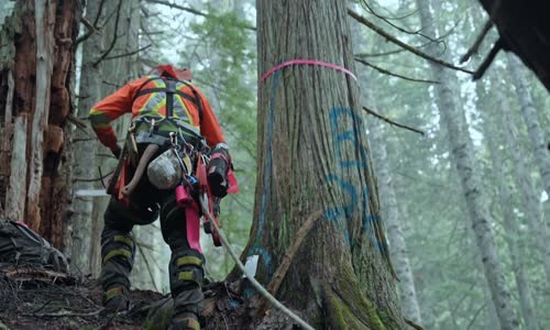 Timber Titans S01E06 1080p WEBRip x264-BAE mkv