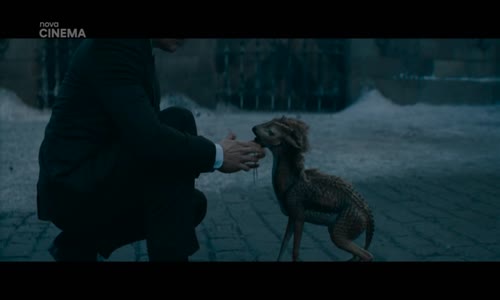 Fantastická zvířata-Brumbálova tajemství-fantasy US 2022 TVRip CZ mkv