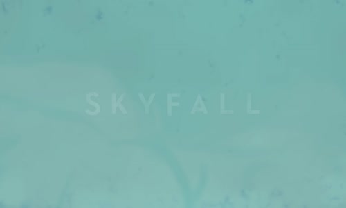Adele - Skyfall (Lyric Video) mp4