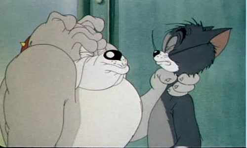 Tom & Jerry 02 (CZ) avi