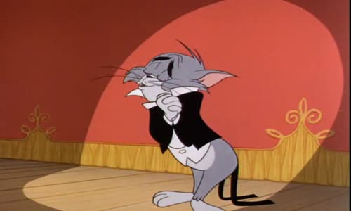 Tom & Jerry 11 (CZ) avi