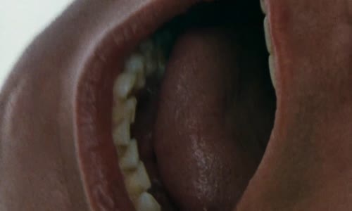 Ace Ventura 2 Volání divočiny (1995) cz 1080p mp4