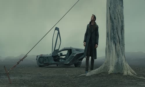 Blade Runner 2049 mp4