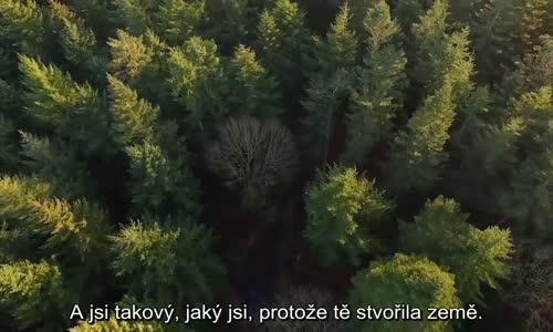 EUROPA - The Last Battle 10 - The Awakening CZ mp4