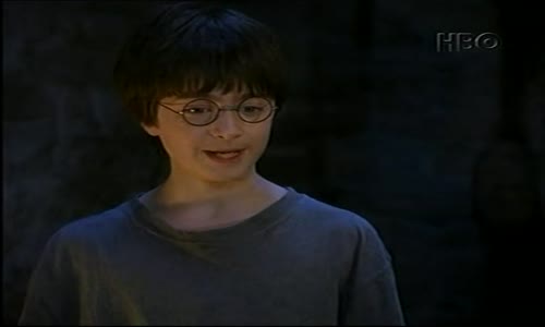Harry Potter a Kámen mudrců (2001) mkv
