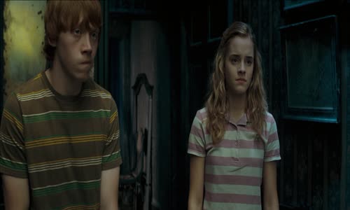 Harry Potter a Fénixův řád mkv