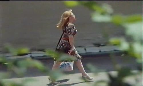 Dědictví aneb kurvahošigutentag (1993) avi