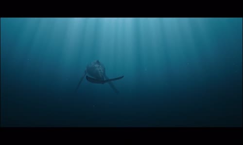 Pirati_(2014)_cz_1080p mp4