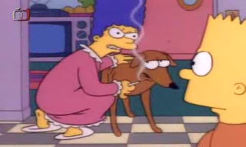 16  Homer na suchu   Simpsonovi online - Simpsonovi ke shlédnutí avi