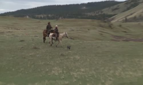Yellowstone Wardens S04E07 1080p HEVC x265-MeGusta mkv