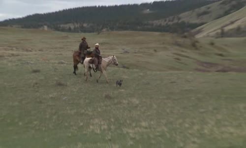 Yellowstone Wardens S04E07 XviD-AFG avi