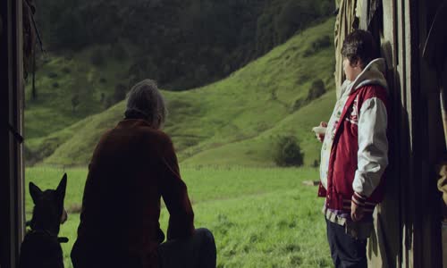 Hon na pacloveky Hunt for the Wilderpeople(2016) 1080p CZ Vykonavatel mkv