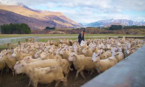 Nadias Farm S02E05 720p WEB H264-ROPATA mkv