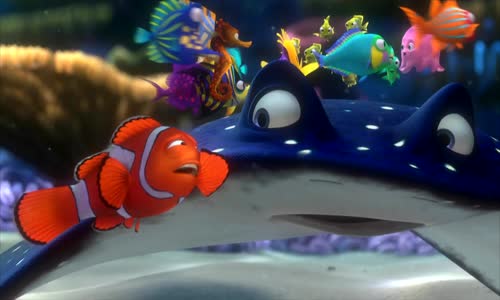Hledá se Nemo (2003) 1080p  (CZE,ENG) mkv