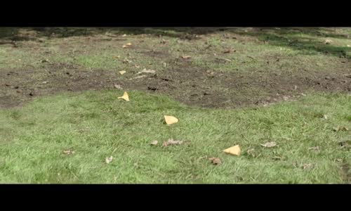 Knuckles S01E01 480p x264-mSD mkv