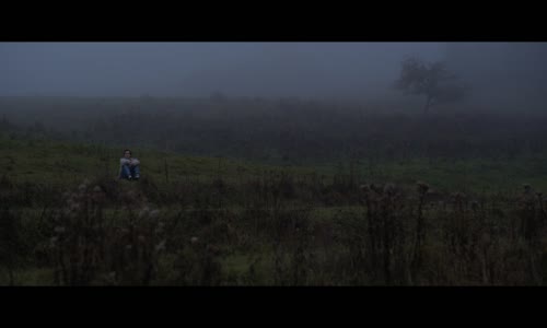Slon Elephant (2022) 720p - cz titulky mkv