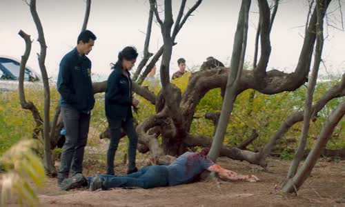 NCIS Hawai 01x07 mp4