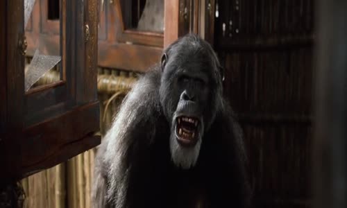 Příběh Tarzana, pána opic _ Legenda o Tarzanovi _ Greystoke_ The Legend of Tarzan, Lord of the Apes (1984)(SK)_720p mp4
