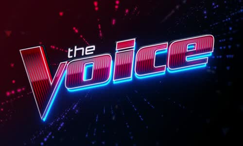 The Voice S25E22 XviD-AFG avi