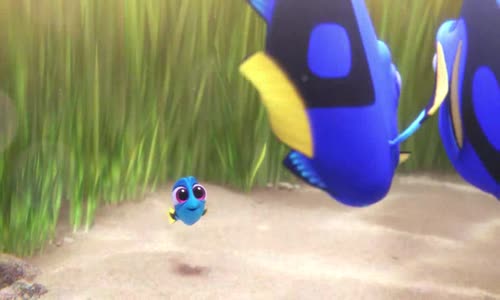 Hledá se Dory (-2016 Animovaný-Dobrodružný-Komedie-Ro dinný-Bdrip -1080p ) Cz dabing avi