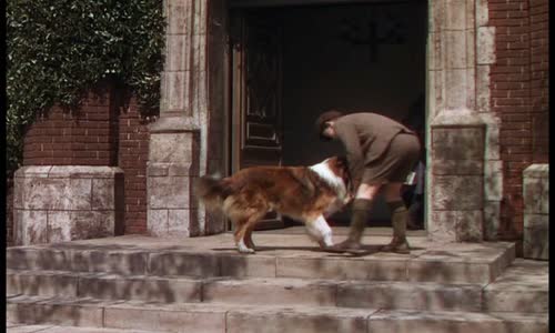 14 Lassie sa vracia 1943 CZ ocik avi