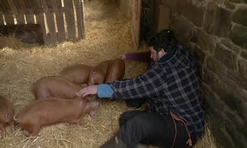 Our Dream Farm with Matt Baker S01E08 XviD-AFG avi