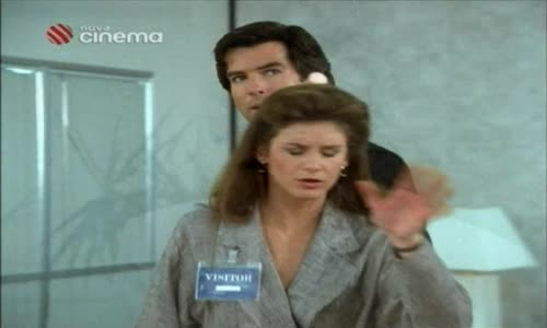 Detektiv Remington Steele S04E22 Steelova pouta TV Rip CZ dabing avi