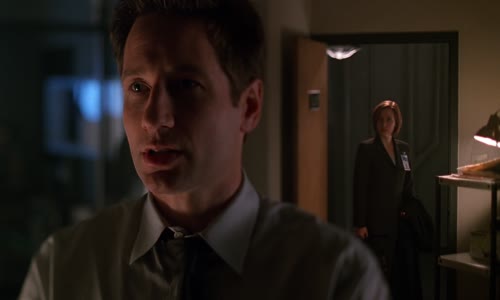 Akta X S06E16 Instinkt_H 264 mp4