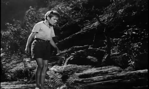 Dobrodruzství na Zlaté zátoce HD (1955) české filmy CS (78PT) mkv