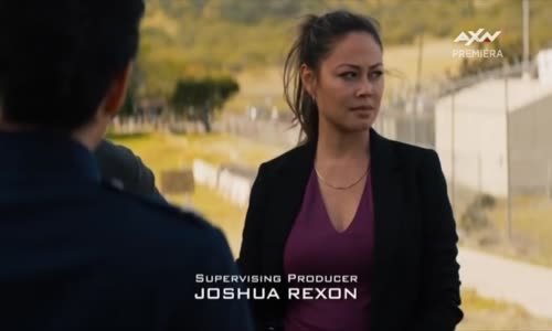 NCIS Hawai 02x19 mp4