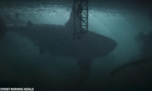 20 Děsivých Pozorování Žraloků, Které Mohly Být Megalodon (1080p_25fps_H264-128kbit_AAC) mp4