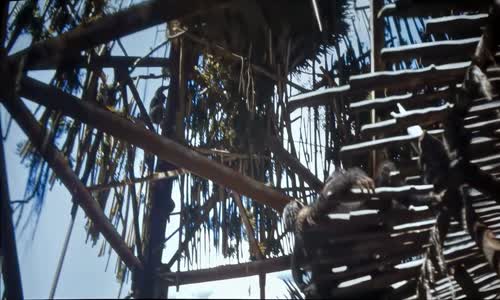 Kingdom of the Planet of the Apes - Království Planeta opic 2024 HD 720p HDTS ang cz tit mkv