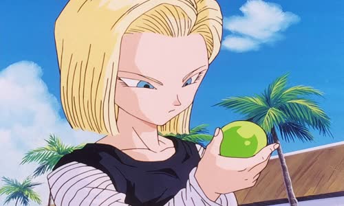 [Anime Time] Dragon Ball Z - 215 mkv