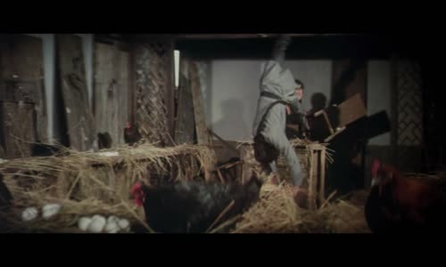 Drak z chrámu Šaolin 2 - Lehkomyslný bojovník (1978) novinka CZ dabing Full HD 1080p Pucci film mp4