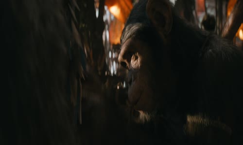 Kingdom of the Planet of the Apes - Království Planeta opic 2024 HD 1080p DD+Atmos 5 1 ang+cz tit mkv