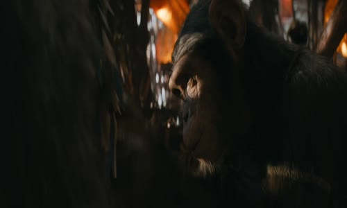 Kingdom of the Planet of the Apes - Království Planeta opic 2024 HD 720p DD+Atmos 5 1 ang+cz tit mkv