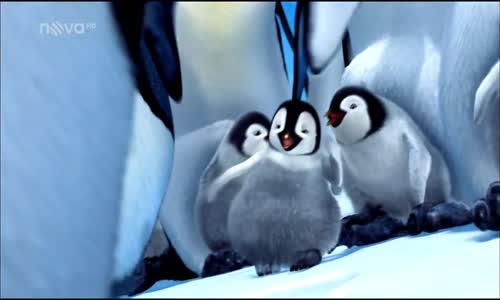 Happy Feet 1 avi