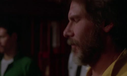 Uprchlík (Harrison Ford,Tommy Lee Jones,Sela Ward,Julianne Moore-1993 Drama-Akční-Thriller-Bdrip -1080p ) Cz+Sk dabing mkv