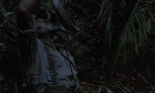 Predátor 1 (1987) DVDRip 5 1 CZ dab ❤️ avi