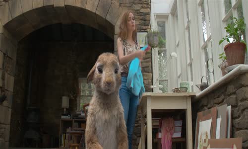 Králíček Petr-Peter Rabbit 2018 1080p BluRay AAC x265 mp4