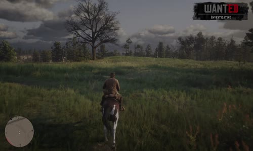 Red Dead Redemption 2_20240810040501 mp4