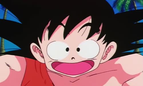 Dragon Ball -  S01E125 mkv